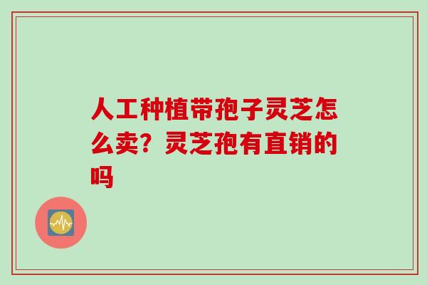 人工种植带孢子灵芝怎么卖？灵芝孢有直销的吗