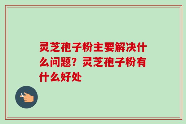 灵芝孢子粉主要解决什么问题？灵芝孢子粉有什么好处