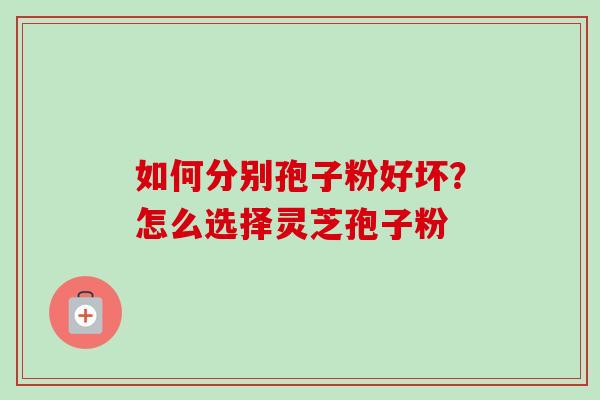 如何分别孢子粉好坏？怎么选择灵芝孢子粉