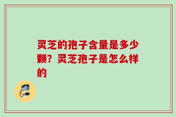 灵芝的孢子含量是多少颗？灵芝孢子是怎么样的