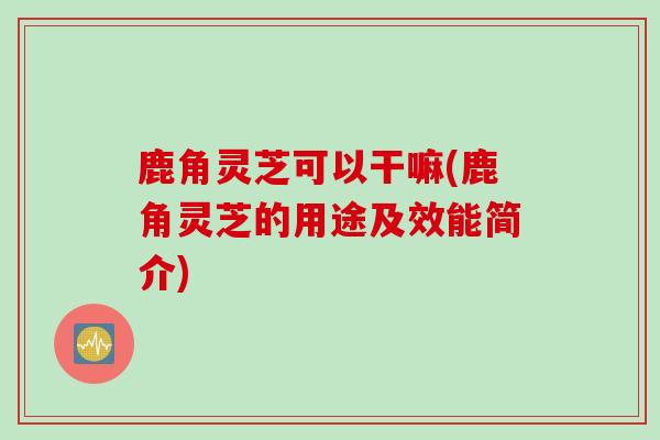 鹿角灵芝可以干嘛(鹿角灵芝的用途及效能简介)
