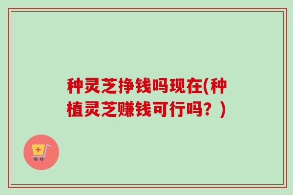 种灵芝挣钱吗现在(种植灵芝赚钱可行吗？)