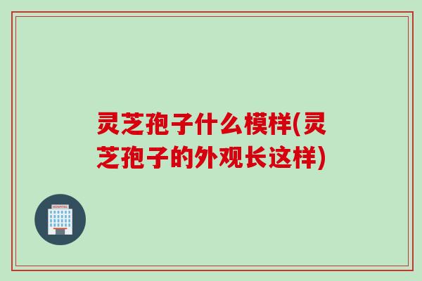 灵芝孢子什么模样(灵芝孢子的外观长这样)