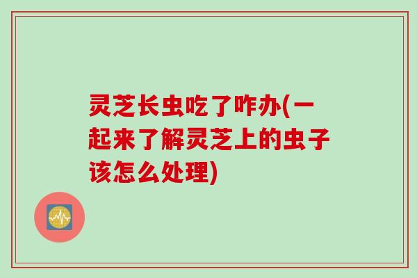 灵芝长虫吃了咋办(一起来了解灵芝上的虫子该怎么处理)