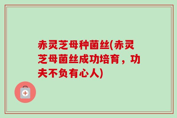 赤灵芝母种菌丝(赤灵芝母菌丝成功培育，功夫不负有心人)