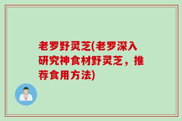 老罗野灵芝(老罗深入研究神食材野灵芝，推荐食用方法)