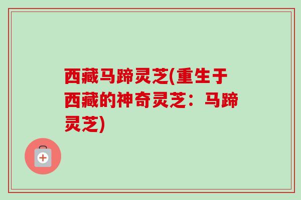西藏马蹄灵芝(重生于西藏的神奇灵芝：马蹄灵芝)