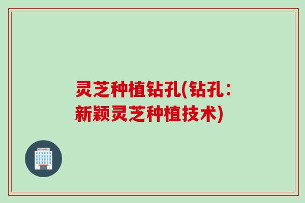 灵芝种植钻孔(钻孔：新颖灵芝种植技术)