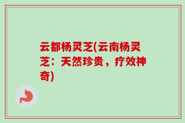 云都杨灵芝(云南杨灵芝：天然珍贵，疗效神奇)