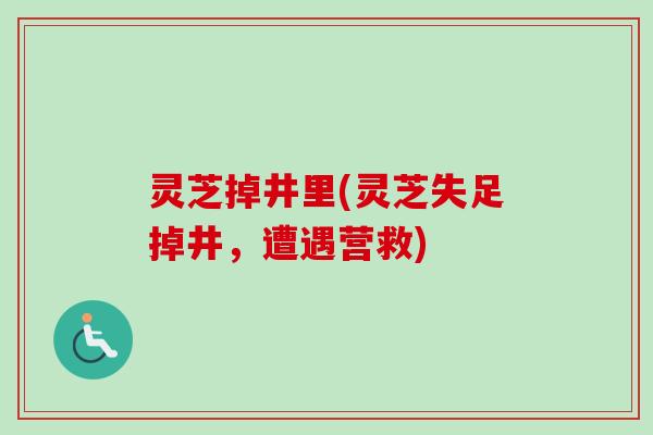 灵芝掉井里(灵芝失足掉井，遭遇营救)