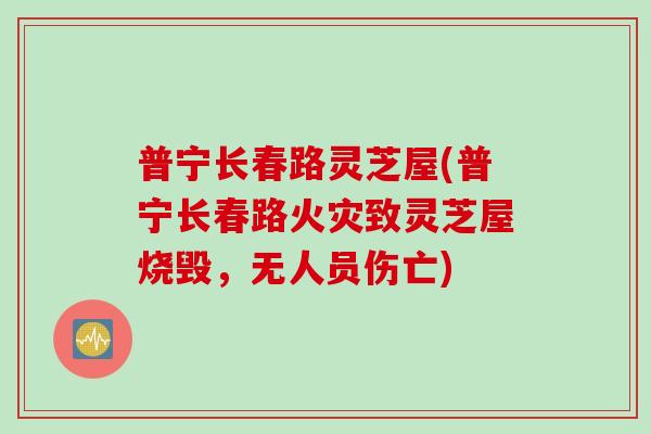 普宁长春路灵芝屋(普宁长春路火灾致灵芝屋烧毁，无人员伤亡)