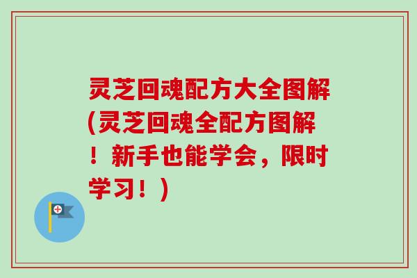 灵芝回魂配方大全图解(灵芝回魂全配方图解！新手也能学会，限时学习！)