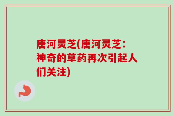 唐河灵芝(唐河灵芝：神奇的草药再次引起人们关注)
