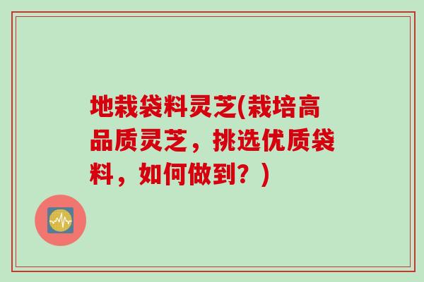 地栽袋料灵芝(栽培高品质灵芝，挑选优质袋料，如何做到？)