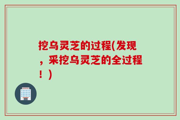挖乌灵芝的过程(发现,采挖乌灵芝的全过程!) 挖乌灵芝的过程(发现,采挖乌灵芝的全过程!)