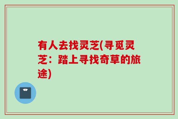 有人去找灵芝(寻觅灵芝：踏上寻找奇草的旅途)