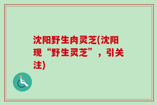 沈阳野生肉灵芝(沈阳现“野生灵芝”，引关注)