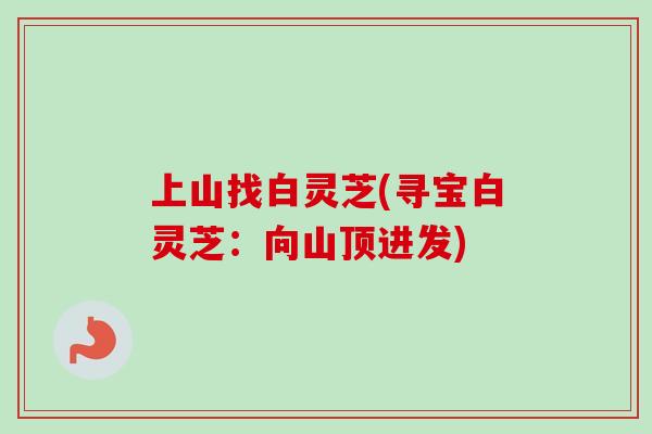 上山找白灵芝(寻宝白灵芝：向山顶进发)