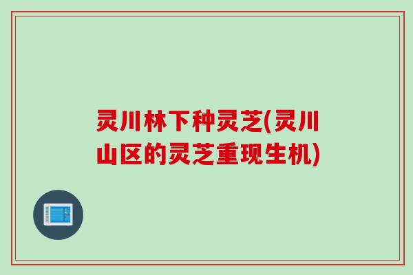 灵川林下种灵芝(灵川山区的灵芝重现生机)