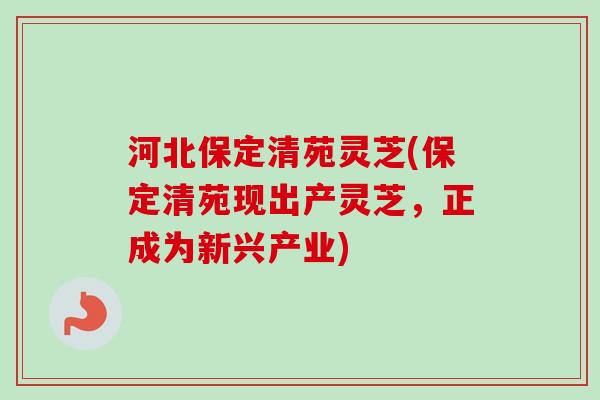河北保定清苑灵芝(保定清苑现出产灵芝，正成为新兴产业)