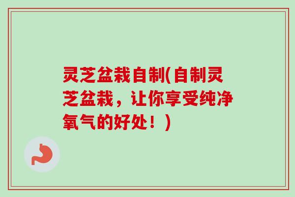 灵芝盆栽自制(自制灵芝盆栽，让你享受纯净氧气的好处！)