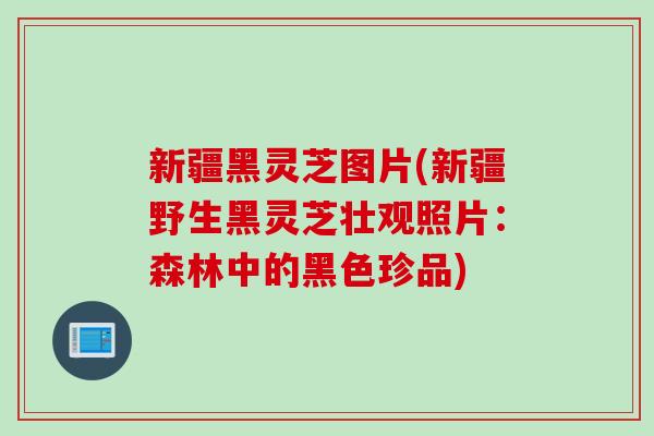 新疆黑灵芝图片(新疆野生黑灵芝壮观照片：森林中的黑色珍品)
