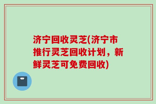 济宁回收灵芝(济宁市推行灵芝回收计划，新鲜灵芝可免费回收)