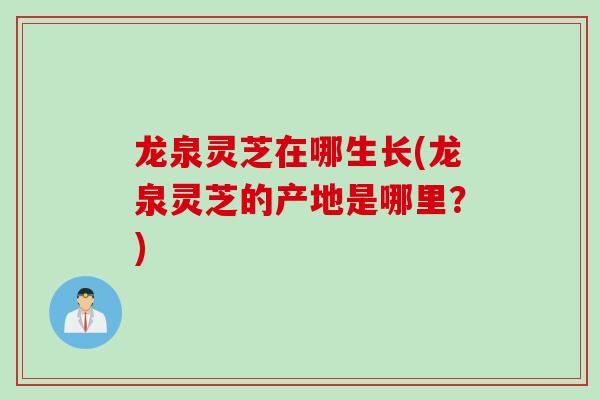 龙泉灵芝在哪生长(龙泉灵芝的产地是哪里？)