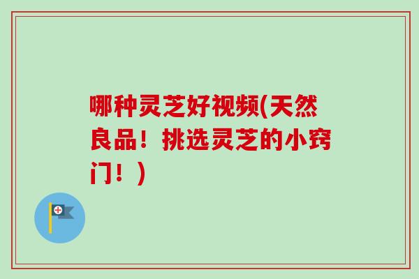 哪种灵芝好视频(天然良品！挑选灵芝的小窍门！)