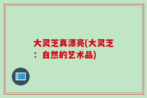大灵芝真漂亮(大灵芝:自然的艺术品)