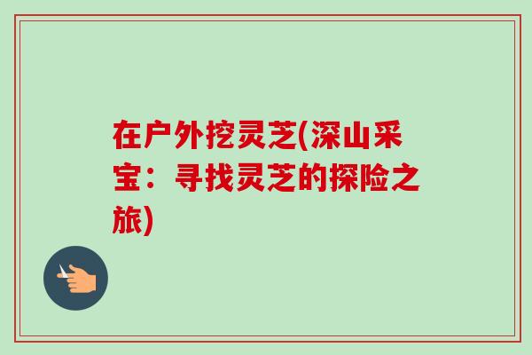 在户外挖灵芝(深山采宝：寻找灵芝的探险之旅)