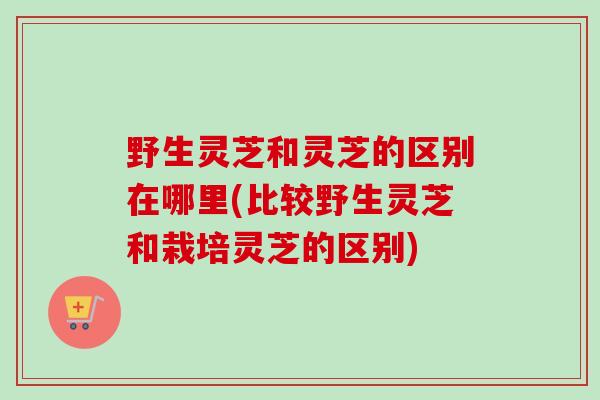 野生灵芝和灵芝的区别在哪里(比较野生灵芝和栽培灵芝的区别)