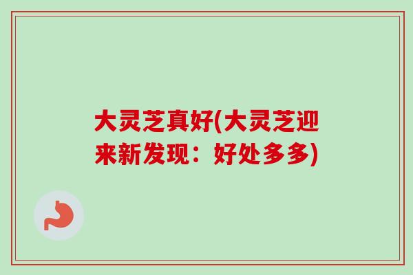 大灵芝真好(大灵芝迎来新发现：好处多多)