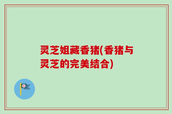 灵芝姐藏香猪(香猪与灵芝的完美结合)