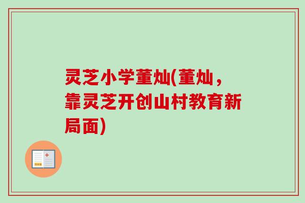 灵芝小学董灿(董灿，靠灵芝开创山村教育新局面)