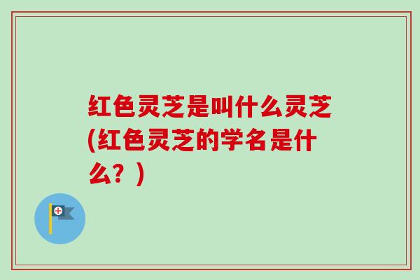 红色灵芝是叫什么灵芝(红色灵芝的学名是什么？)
