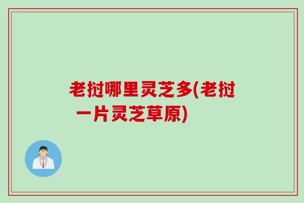 老挝哪里灵芝多(老挝 一片灵芝草原)