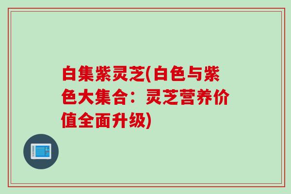 白集紫灵芝(白色与紫色大集合：灵芝营养价值全面升级)
