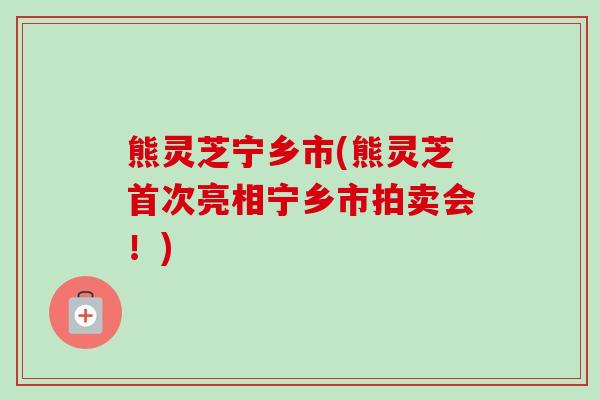 熊灵芝宁乡市(熊灵芝首次亮相宁乡市拍卖会！)