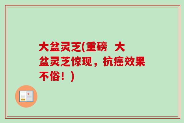 大盆灵芝(重磅  大盆灵芝惊现，抗癌效果不俗！)