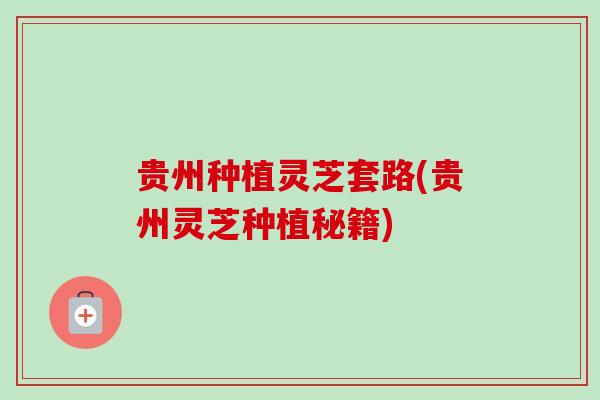 贵州种植灵芝套路(贵州灵芝种植秘籍)