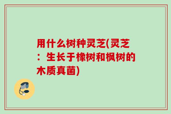 用什么树种灵芝(灵芝：生长于橡树和枫树的木质真菌)