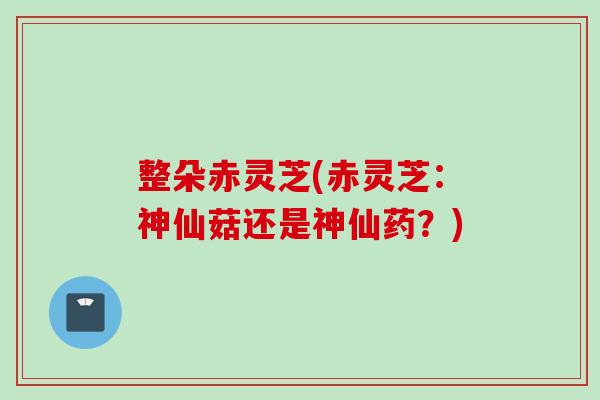 整朵赤灵芝(赤灵芝：神仙菇还是神仙药？)