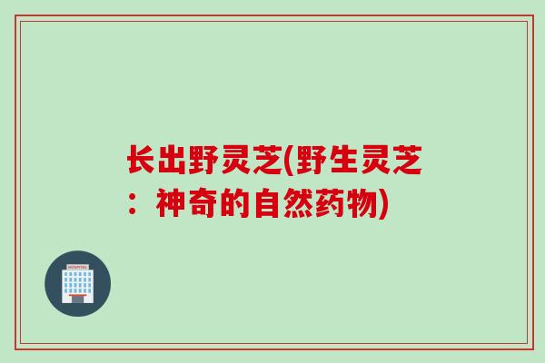 长出野灵芝(野生灵芝：神奇的自然药物)