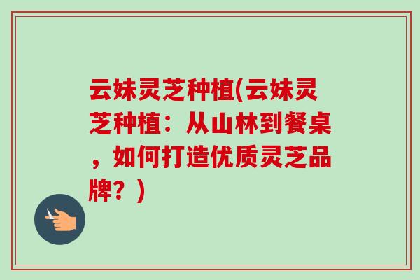 云妹灵芝种植(云妹灵芝种植：从山林到餐桌，如何打造优质灵芝品牌？)