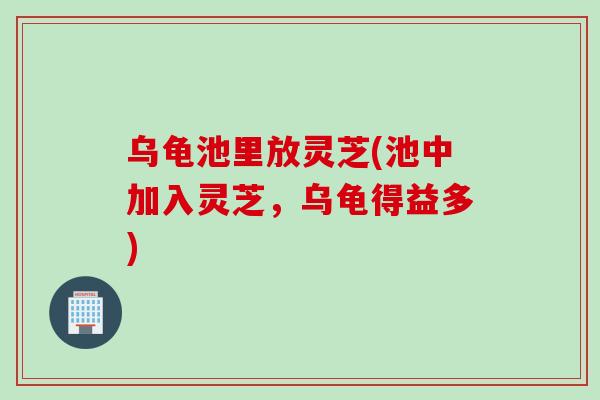 乌龟池里放灵芝(池中加入灵芝，乌龟得益多)