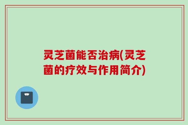 灵芝菌能否治病(灵芝菌的疗效与作用简介)