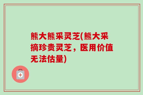 熊大熊采灵芝(熊大采摘珍贵灵芝，医用价值无法估量)