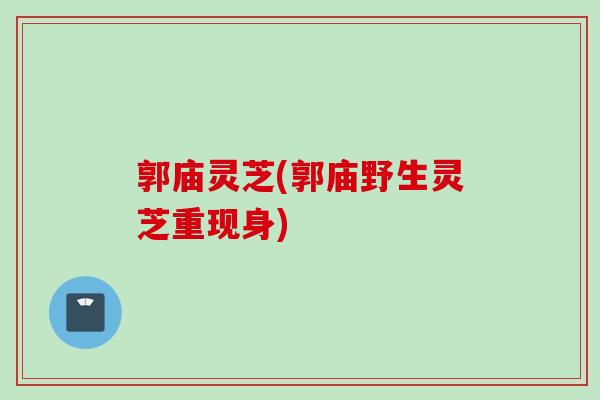 郭庙灵芝(郭庙野生灵芝重现身)