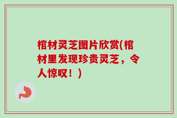 棺材灵芝图片欣赏(棺材里发现珍贵灵芝，令人惊叹！)